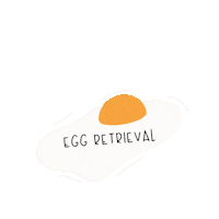 expectinghappiness egg fertility ivf infertility Sticker