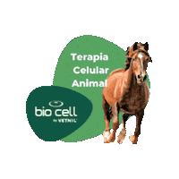 Terapia Celular Sticker by BIO CELL by Vetnil