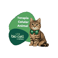 Terapia Celular Sticker by BIO CELL by Vetnil