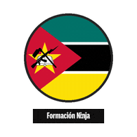 Flag Bandera Sticker by Formación Ninja