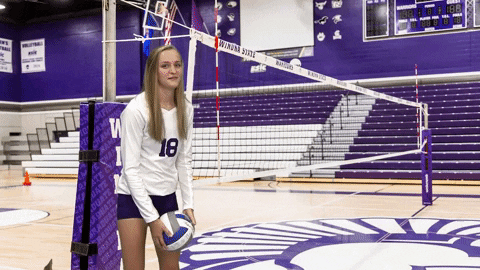 Warriors Volleyball GIF by WinonaStateATH