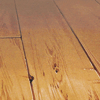 kikis delivery service cat GIF