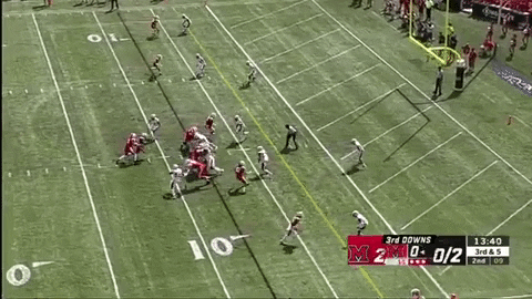 SchaufDS giphygifmaker GIF