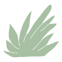 Baby Adapt Sticker by Ergobaby