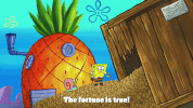 season 9 episode 21 GIF by SpongeBob SquarePants