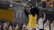 Basketball Pounce GIF by Milwaukee Panthers