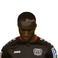 Bayer 04 Hello Sticker by Bundesliga