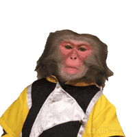 Fun Monkey Sticker