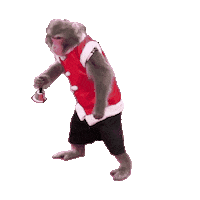 Fun Monkey Sticker