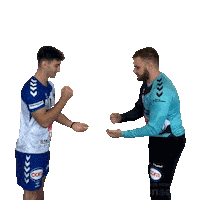 HBCLivry-Gargan handball hb hbclg livry Sticker