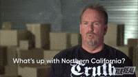 What's Up With Northern California?