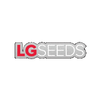 Harvest25 Sticker by LG Seeds