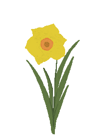 Fleur Soleil Sticker