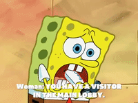season 5 the two faces of squidward GIF by SpongeBob SquarePants