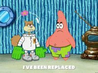 season 5 to love a patty GIF by SpongeBob SquarePants