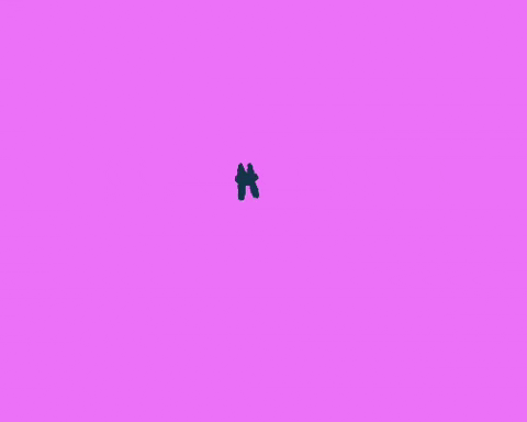 Cat What GIF
