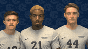 Cnms19 Benking GIF by Carson-Newman Athletics