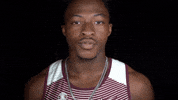Littlerocktrack2020 GIF by Little Rock Athletics