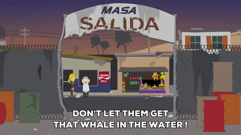 mexico chasing GIF by South Park 