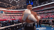 Love Island Knockout GIF by Top Rank Boxing