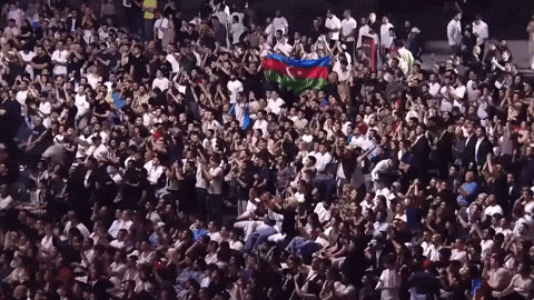 Azerbaijan Flag Ufc GIF by Studo