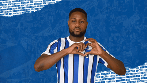 Fight Bundesliga GIF by Hertha BSC