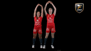 Floorball Salibandy GIF by F-liiga