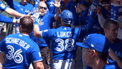 Blue Jays Baseball GIF by Toronto Blue Jays