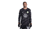 Germany Hello Sticker by VfL Wolfsburg