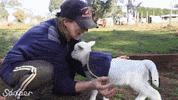 GIF by Random Goat