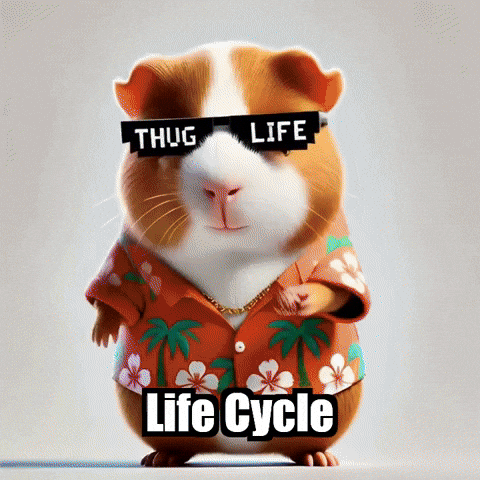 Savor Life Cycle GIF by Guinea Gambino