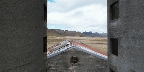 nicolascalmels  GIF