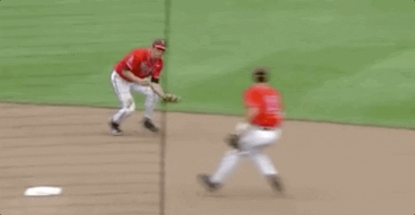 Baseball College GIF by NCAA Championships