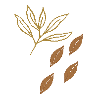 Fall Leaf Sticker by Jenelle Botts