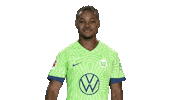 Football Hello Sticker by VfL Wolfsburg