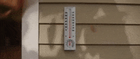 Summer Fall GIF by Aaron Taos