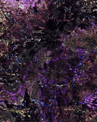 TrippyEverything trippy everything GIF