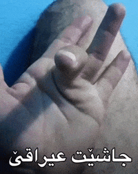 Kurdistan Iraq GIF