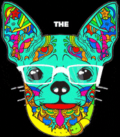 Acupuntura Tnv Thenaturalvets Naturalvets Fisioterapiaveterinaria Homeopatia Natural GIF by thenaturalvetsmx