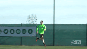 werder werderbremen GIF