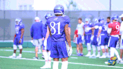 KansasJayhawks dance dancing ku jayhawks GIF