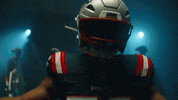 Football Nfl GIF by New England Patriots