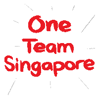 Sg Teamsg Sticker by Team Singapore