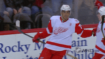 Ice Hockey Hug GIF by NHL