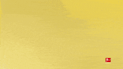 Borussia Dortmund Football GIF by Bundesliga