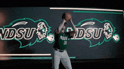 Ndsu Baseball GIF by NDSU Athletics