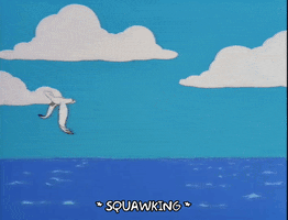 season 9 a seagull flying over an ocean GIF