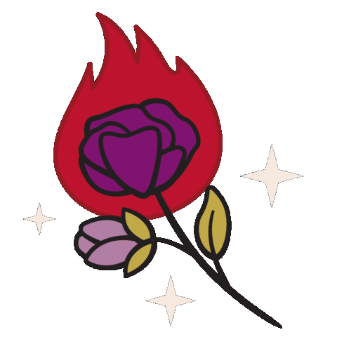 lauranicolestudio fire flower stars rose Sticker
