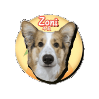 petso-llp social media pet line taiwan Sticker