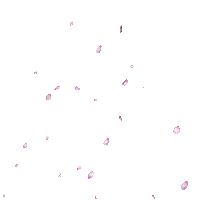 Sticker gif. Pink and white sakura petals fall delicately across the frame.